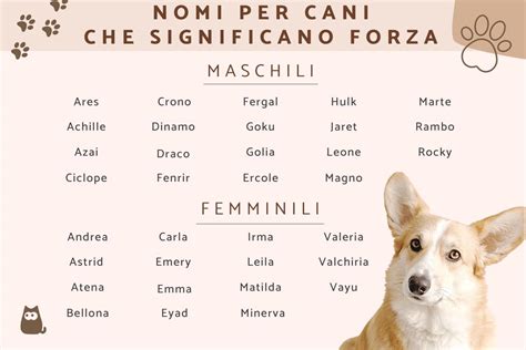 nomi cani maschi